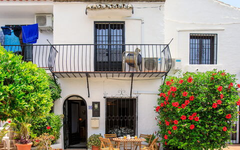 Carmen: Pot De Fleur, Porte, Balcon, Plante D'Appartement, Hacienda, Cour