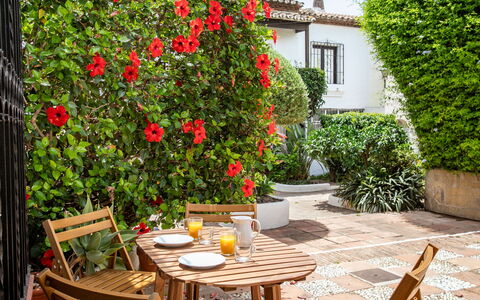 Carmen: Fleur, Arbuste, Pot De Fleur, Jardin, Plante D'Appartement, Cour, Chaise, Cour, Ombre