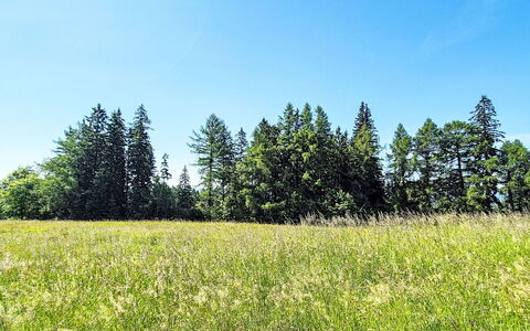 Golden View: Bleu, Vert, Arbre, Environnement Naturel, Prairie, Été, Lot Terre, Prairie, Champ, Plaine