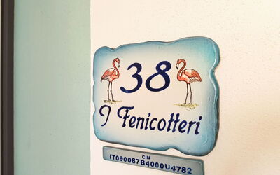 I Fenicotteri