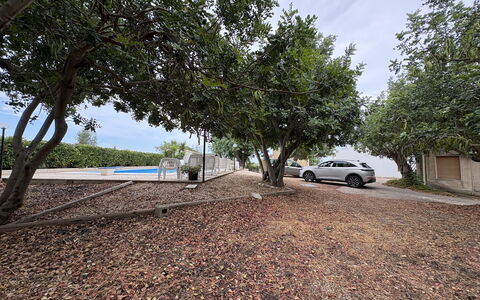 Casale Nardi: Arbre, Feuille, Branche, Surface De La Route, Ombre, Suppression Des Plantes Ligneuses, Lumière Du Soleil, Allée, Sol, Aménagement Paysager
