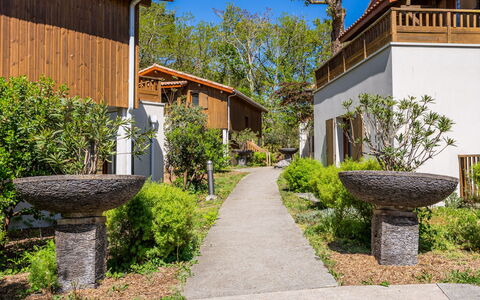 Rives du Lac: Arbuste, Jardin, Printemps, Aménagement Paysager, Chalet, Arrière-Cour, Ombre, Biens, Cour