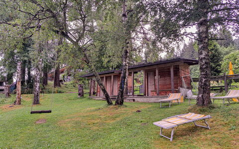 Grafenast: Arbre, Bois, Chalet, Lot Terre, Zone Rurale, Printemps, Tronc, Cabane En Rondins, Batiments Jardin, Des Bois