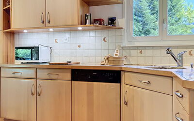 Logement:&nbsp;Chalet Chaudoudoux - les Paccots 603.2