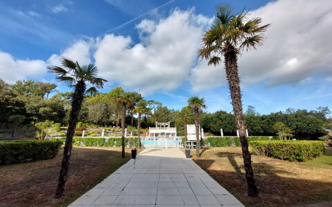 Confort, Piscine et Plage: Arbre, Arbuste, Espace Public, Jardin, Suppression Des Plantes Ligneuses, Passerelle, Aménagement Paysager, Ombre, Parc
