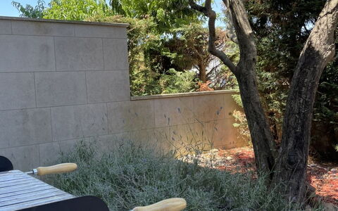 Monte Kope: Jardin, Mobilier De Jardin, Arrière-Cour, Tache De Bois