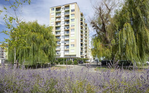 Silver: Jour, Bâtiment, Appartement, Zone Résidentielle, Ville, Zone Urbaine, Quartier, Façade, Condominium
