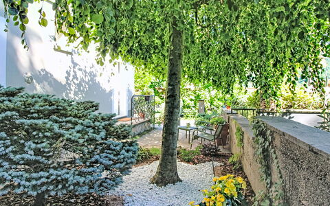 Boscolago: Feuille, Vert, Végétation, Arbuste, Jardin, Couverture De Sol, Printemps, Suppression Des Plantes Ligneuses, Ombre, Brindille