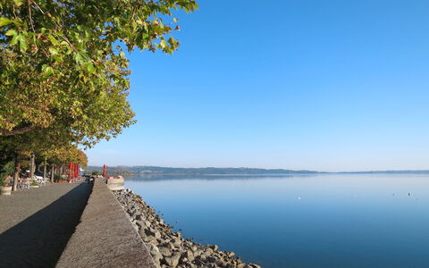 Lago di Vico 629: Bleu, L'Eau, Plan D'Eau, Cotiers Et Relief Océaniques, Banque, Côte, Mer, Lac, Rive, Matin