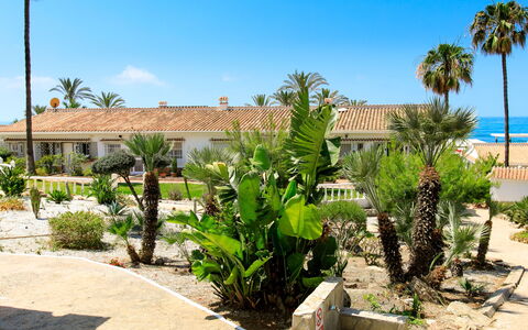 El Bungalow: Meubles, Design Intérieur, Chaise, Mobilier De Jardin, Matériau Naturel, Ombre, Tableau De Plein Air, Conception, Restaurant, Table Cuisine Et Salle A Manger