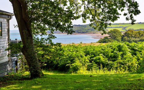 Seascape: Vert, La Nature, Paysage Naturel, Végétation, Été, Arbuste, Paysage, Prairie, Communauté Des Plantes