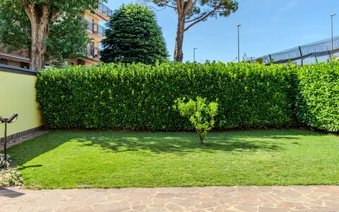 Villa Giulia: Vert, Arbuste, Haie, Jardin, Couverture De Sol, Pelouse, Aménagement Paysager, Ombre, Passerelle, Gazon Artificiel