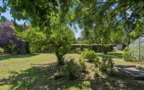 Helge - 10Km from the Sea: Feuille, Arbre, Vert, Branche, Végétation, Arbuste, Communauté Des Plantes, Jardin, Couverture De Sol, Suppression Des Plantes Ligneuses