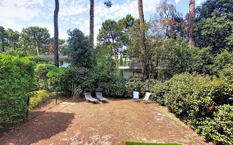 Beau Séjour: Arbuste, Jardin, Couverture De Sol, Ombre, Pelouse, Arrière-Cour, Aménagement Paysager, Haie, Cour, Allée