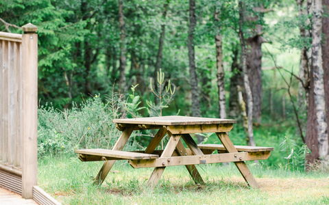 Logement:&nbsp;Capercaillie Cabin 100.3