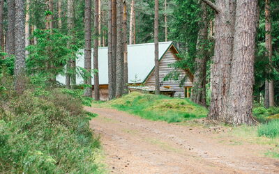 Logement:&nbsp;Capercaillie Cabin 100.3