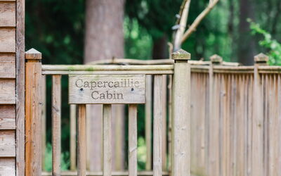 Logement:&nbsp;Capercaillie Cabin 100.3