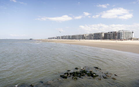 Centrally Located Sea You Again: Jour, L'Eau, Horizon, Côte, Mer, Plage, Paysage, Cotiers Et Relief Océaniques, Rive, Océan