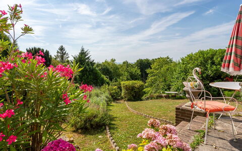 Maison Rose: Fleur, Vert, Jardin, Végétation, Arbuste, Rose, Communauté Des Plantes, Printemps, Couverture De Sol