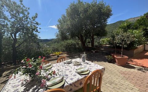 Il Fienile, Garden and Peacefull View: Jardin, Chaîne De Montagnes, Pot De Fleur, Aménagement Paysager, Cour, Plante D'Appartement, Chaise, Eco Hôtel, Table Cuisine Et Salle A Manger