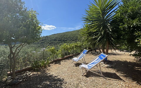Il Fienile, Garden and Peacefull View: Arbuste, Jardin, Pot De Fleur, Aménagement Paysager, Ombre, Jardin Botanique, Mobilier De Jardin, Passerelle, Eco Hôtel