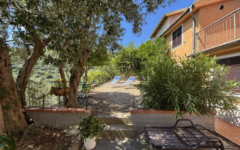 Il Fienile, Garden and Peacefull View: Arbuste, Pot De Fleur, Jardin, Chaise, Ombre, Arrière-Cour, Plante D'Appartement, Mobilier De Jardin, Cour