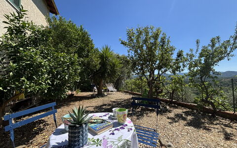 Il Fienile, Garden and Peacefull View: Arbuste, Paysage, Jardin, Printemps, Ombre, Chaise, Aménagement Paysager, Pot De Fleur, Cour