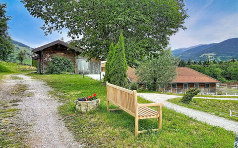 Kaprun 614: Herbe, Maison, Zone Rurale, Paysage, Arbuste, Lot Terre, Chalet, Printemps, Couverture De Sol