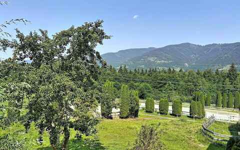 Kaprun 614: Environnement Naturel, Arbuste, Montagnes, Station De Montagne, Jardin, Chaîne De Montagnes, Vallée, Plantation, Pâturage, À Feuilles Persistantes