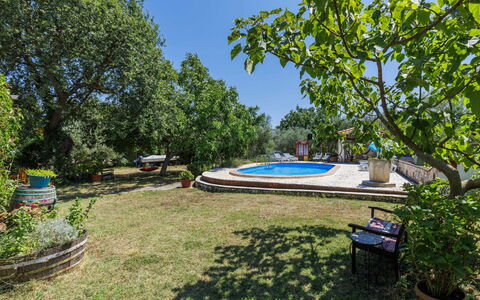 Nina: Arbre, Jardin, Ombre, Pelouse, Aménagement Paysager, Arrière-Cour, Cour, Biens, Parc, Hacienda