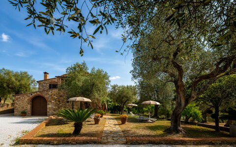 Casale delle Lupe, Campiglia Marittima: Jardin, Biens, Hacienda, Aménagement Paysager, Ferme, Cour, Villa, Ombre, Arrière-Cour, Allée