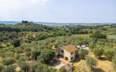 Casale delle Lupe, Campiglia Marittima: Arbre, Herbe, Paysage Naturel, Paysage, Zone Rurale, Prairie, Lot Terre, Plaine, Communauté Des Plantes