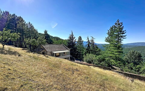 La Bergerie de Portes: Arbre, Paysage, Lot Terre, Zone Rurale, Chalet, Forêt, Mélèze, Pente, Prairie, Cabane