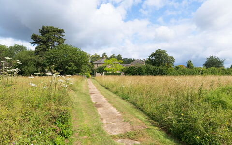 Walltree House: Herbe, Arbre, Vert, Végétation, Prairie, Paysage Naturel, Arbuste, Été, Plaine