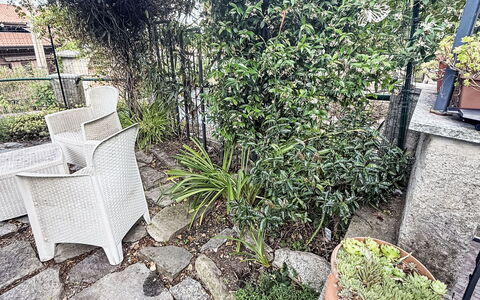 Colazza 100: Arbuste, Pot De Fleur, Jardin, Plante D'Appartement, Clôture, Herbe