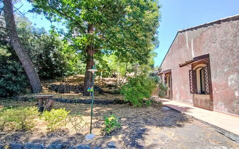 Il Giardino di Lara: Arbre, Feuille, Branche, Végétation, Arbuste, Ombre, Jardin, Suppression Des Plantes Ligneuses, Aménagement Paysager