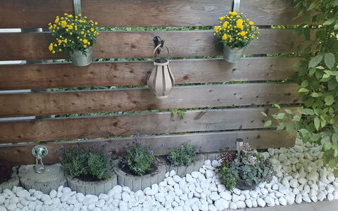 Bergzeit: Pot De Fleur, Jardin, Plante D'Appartement, Planche, Floristique, Clôture, Accueil Escrime, Arrière-Cour, Dur, Herbe