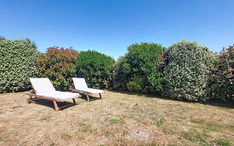 Bois et Lumière: Vert, Feuille, Arbuste, Jardin, Lot Terre, Couverture De Sol, Haie, Pelouse, Ombre