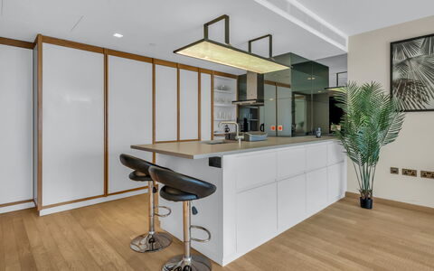 Spitafields Apartment: Arbuste, Jardin, Zone Résidentielle, Communauté Des Plantes, Lot Terre, Couverture De Sol, Aménagement Paysager, Arrière-Cour, Cour