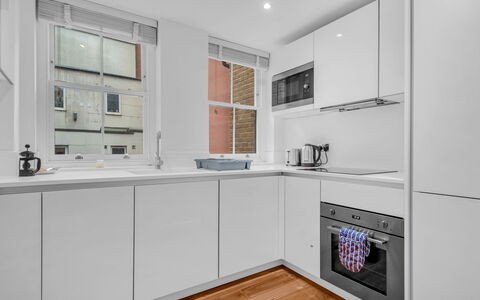 Spitafields Apartment: Arbuste, Jardin, Zone Résidentielle, Communauté Des Plantes, Lot Terre, Couverture De Sol, Aménagement Paysager, Arrière-Cour, Cour