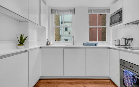 Spitafields Apartment: Arbuste, Jardin, Zone Résidentielle, Communauté Des Plantes, Lot Terre, Couverture De Sol, Aménagement Paysager, Arrière-Cour, Cour