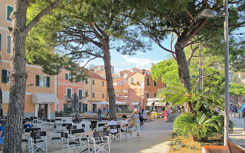 Lily: Arbuste, Jardin, Zone Résidentielle, Communauté Des Plantes, Lot Terre, Couverture De Sol, Aménagement Paysager, Arrière-Cour, Cour