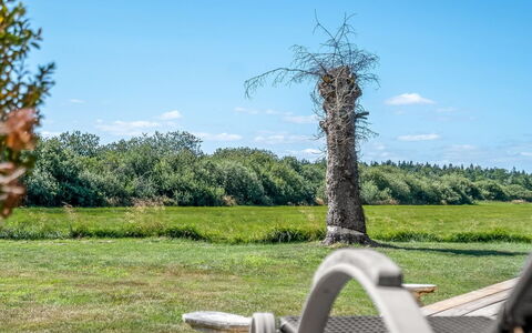 Tameran - from the Sea: Ciel, Bleu, Herbe, Vert, Paysage Naturel, Prairie, Plaine, Nuage, Paysage