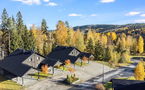 Golfarinkunnas 6B: Arbre, Maison, Chalet, Domicile, Toit, Mélèze, Siding, Cabane En Rondins, Des Bois, L'Hiver