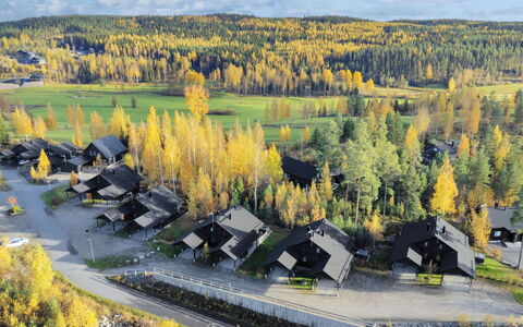 Golfarinkunnas 9D: Paysage, Zone Rurale, Chalet, Village, Mélèze, L'Automne, Photographie Aérienne, Famille Pine