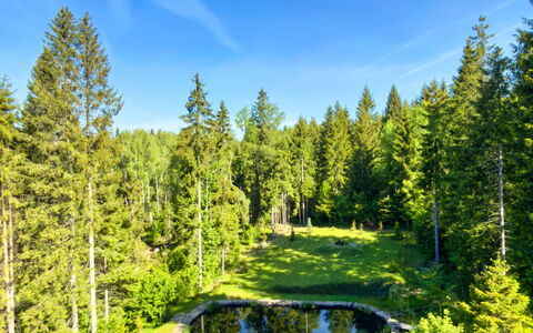 Valera Vita Forest: Vert, Paysage Naturel, Jardin, Forêt, Aménagement Paysager, Mélèze, Étang, À Feuilles Persistantes, Jardin Botanique
