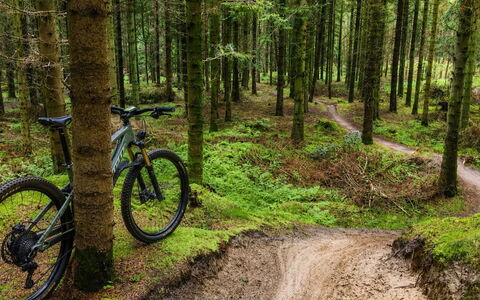 Henri - 700M from the Sea: Vélo, Roue De Bicyclette, Vélo De Montagne, Forêt