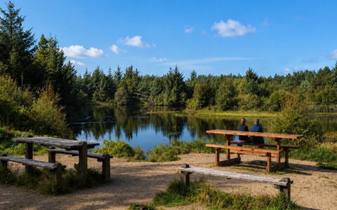 Henri - 700M from the Sea: Réserve Naturelle, Réservoir, Étang, Riparienne, Le Marais, Réflexion