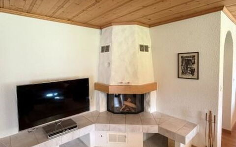 Lenk 755: Design Intérieur, Bois, Sol, Sol, Meubles, Foyer, Plafond, Pièce, Salon, Télévision