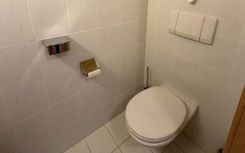 Lenk 755: Siège De Toilette, Toilette, Mur, Salle De Bains, Sol, Sol, Luminaire Plomberie, Tuile, Design Intérieur, Plomberie